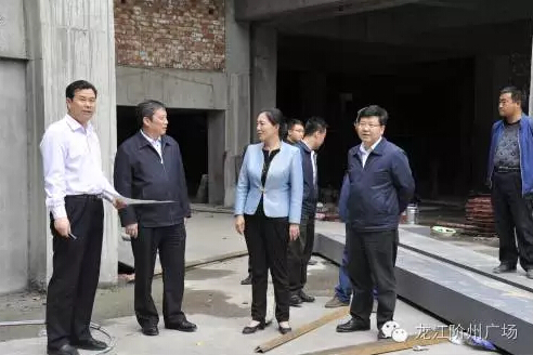 市長陳青，副市長王月成陪同省電力投資集團公司總經理李輝一行深入階州廣場視察