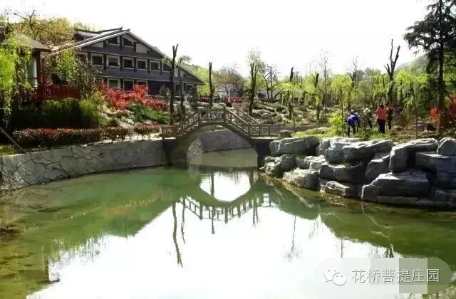 這個周末，隴南康縣花橋有大事要發生？