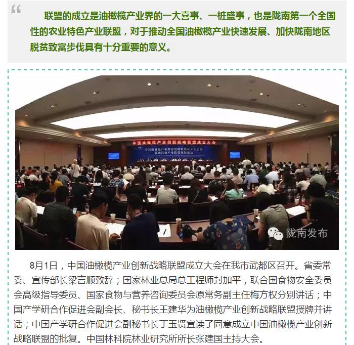 中國油橄欖產業創新戰略聯盟今日成立