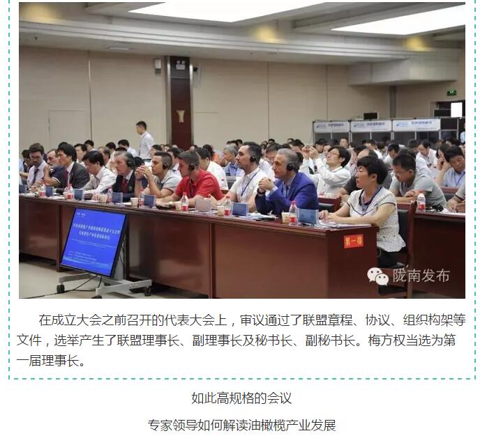 中國油橄欖產業創新戰略聯盟今日成立