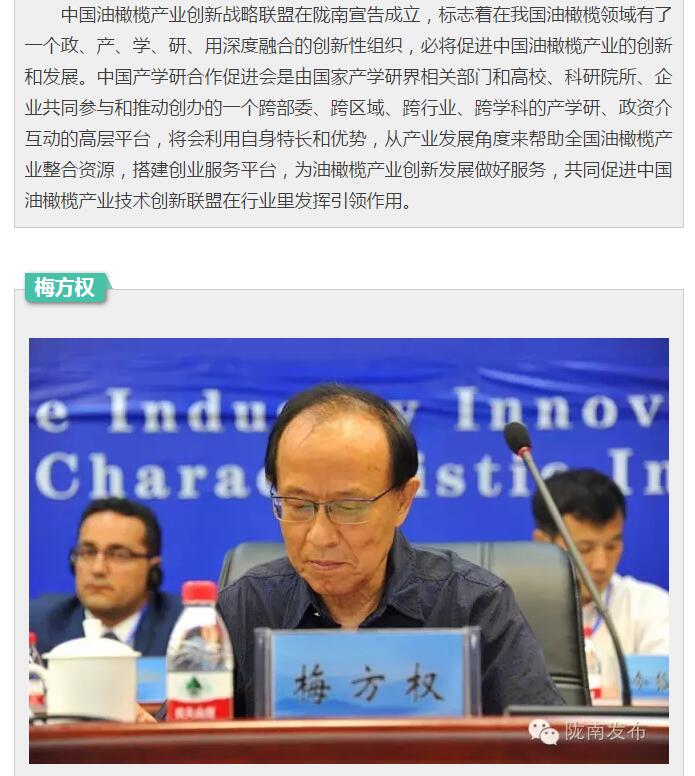 中國油橄欖產業創新戰略聯盟今日成立