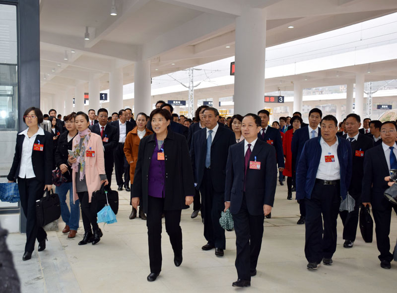 政協隴南市第四屆委員會第一次會議委員參觀階州廣場