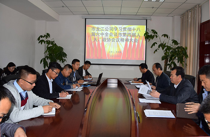 市龍江公司召開全體員工大會，專題傳達學習上級會議精神