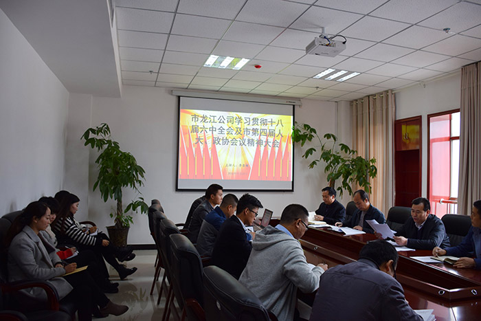 市龍江公司召開全體員工大會，專題傳達學習上級會議精神