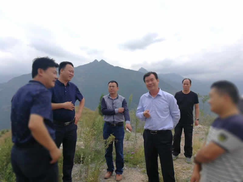 總經理李錄順一行赴文縣橋頭鎮調研貧困區精準扶貧工作