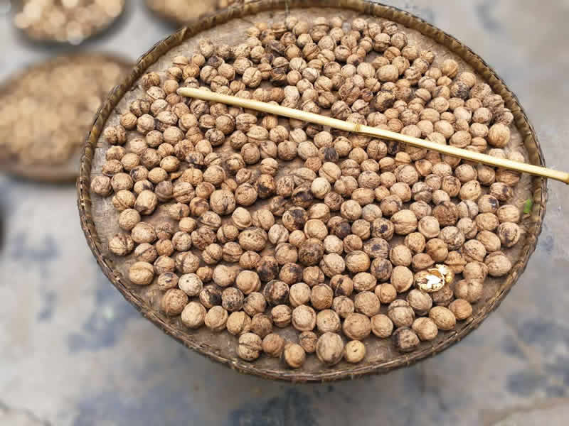 總經理李錄順一行赴文縣橋頭鎮調研貧困區精準扶貧工作