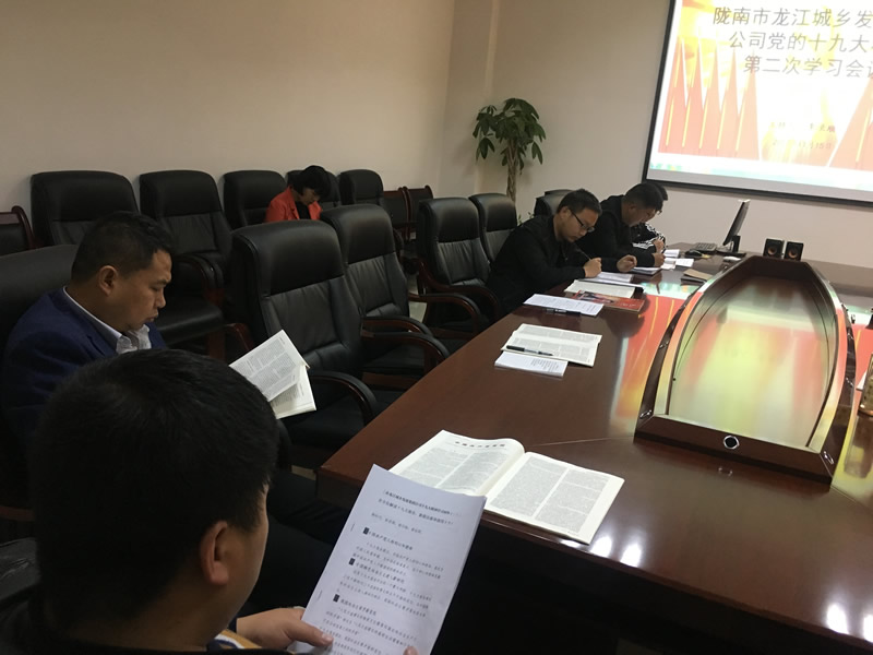 市龍江城鄉發展集團公司召開黨的十九大精神第二次學習會議