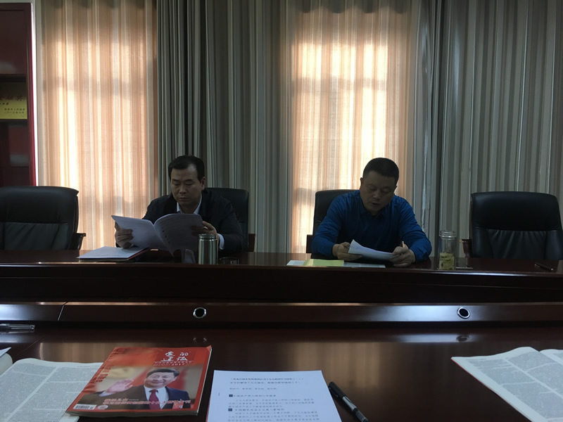 市龍江城鄉發展集團公司召開黨的十九大精神第二次學習會議