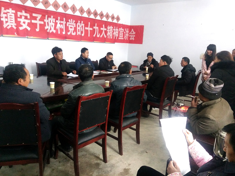 市龍江城鄉發展集團公司駐村幫扶隊在橋頭鎮安子坡村宣講黨的十九大精神