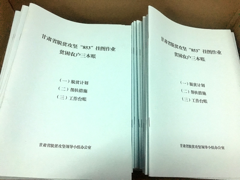 市龍江城鄉發展集團公司駐村幫扶隊在橋頭鎮安子坡村宣講黨的十九大精神