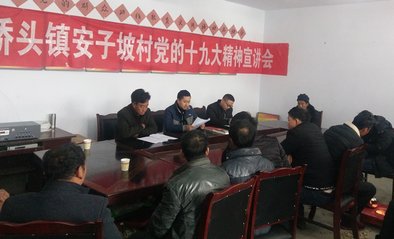 市龍江城鄉發展集團公司駐村幫扶隊在橋頭鎮安子坡村宣講黨的十九大精神