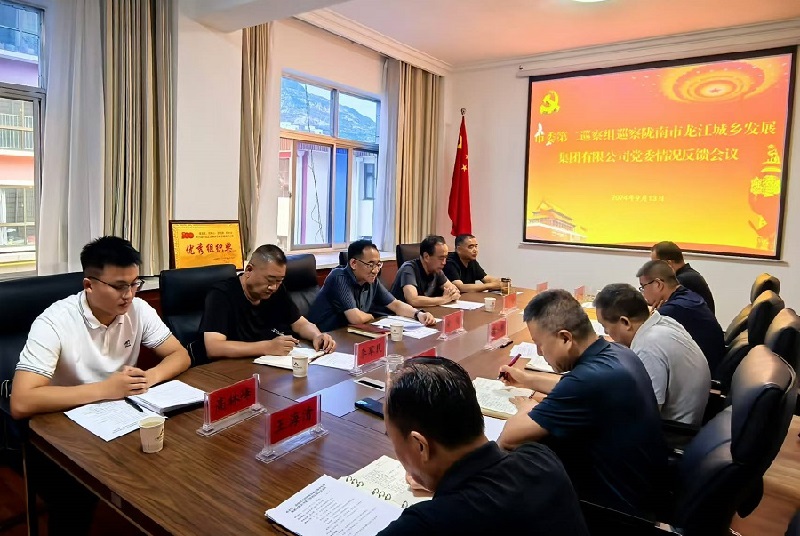 市委第二巡察組巡察市龍江城鄉發展集團黨委情況反饋會議召開